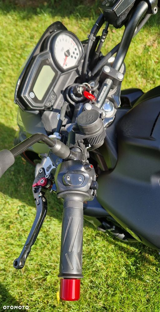 Yamaha FZ8 - 18