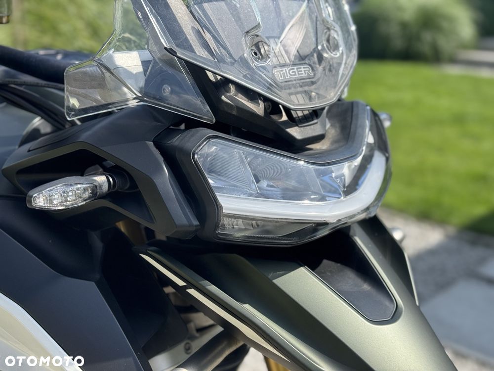Triumph Tiger - 9