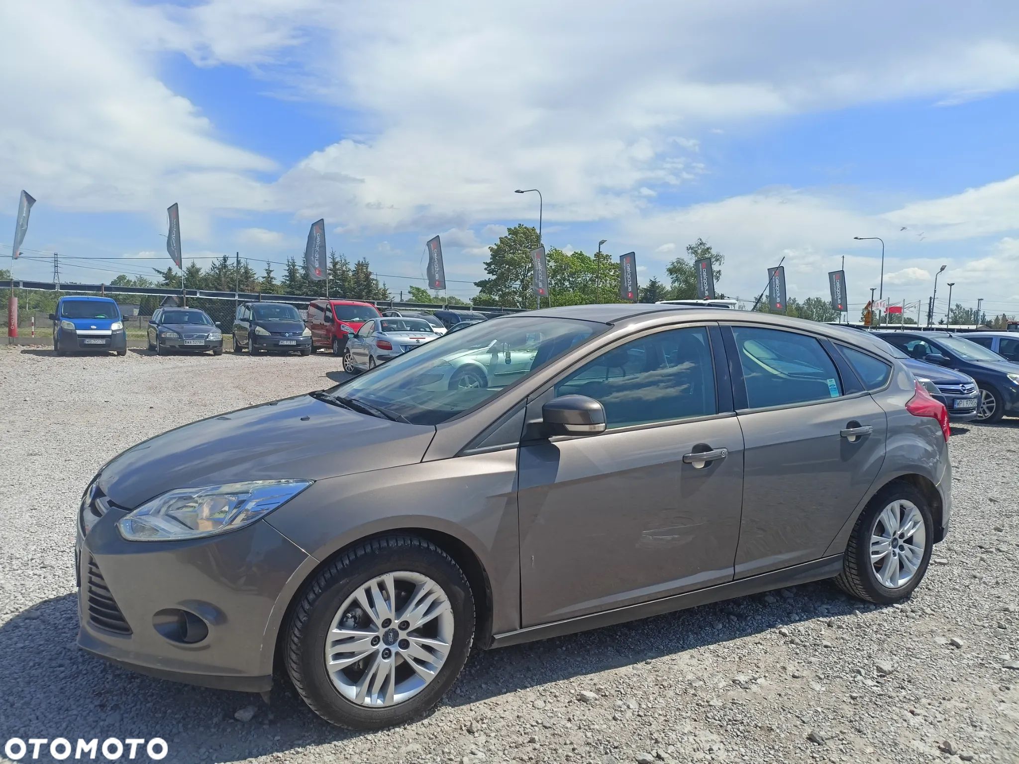 Ford Focus - 1