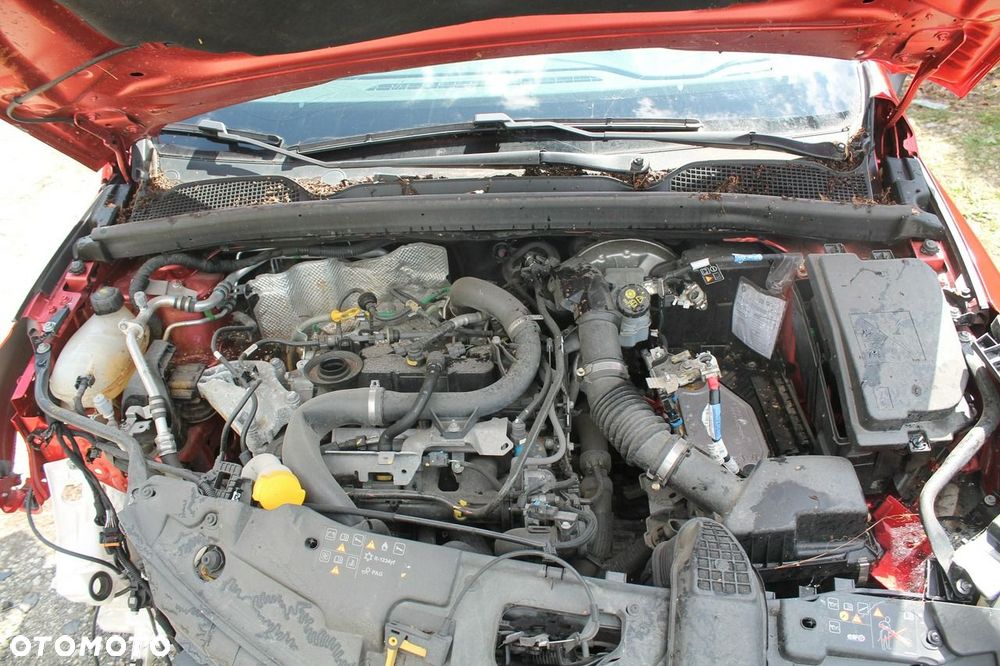 Renault Clio - 9