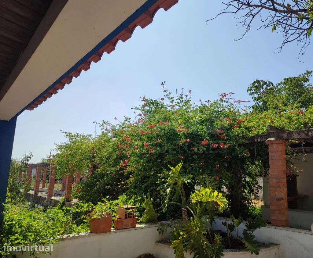 Quintinha com casas e Comércio independente - Santarém - Grande imagem: 2/46