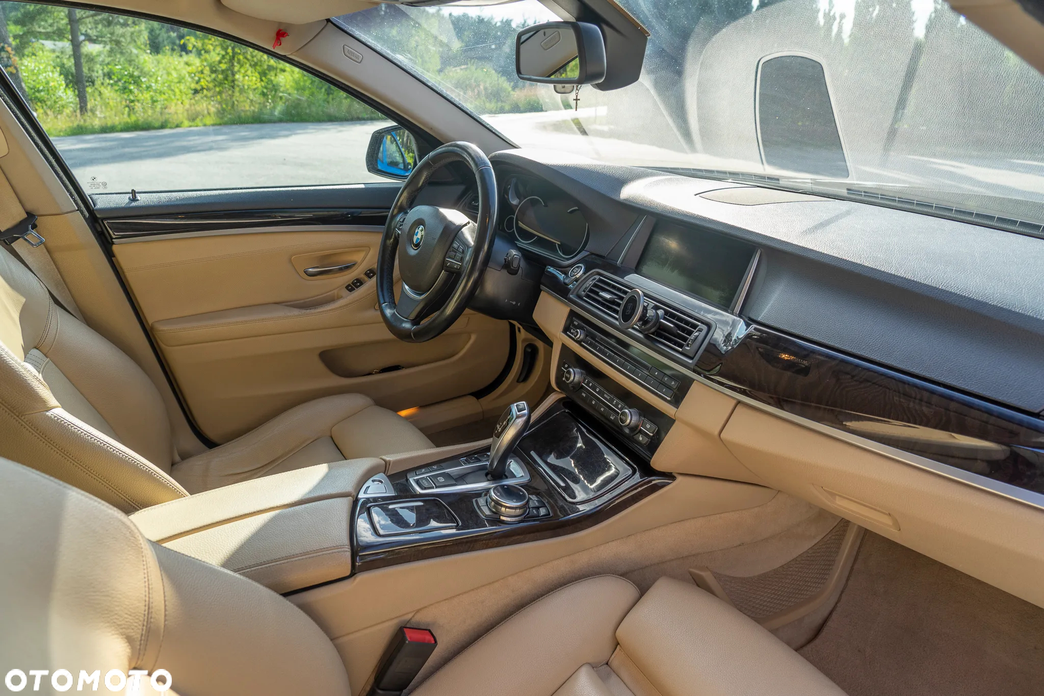 BMW Seria 5 525d xDrive Luxury Line - 17