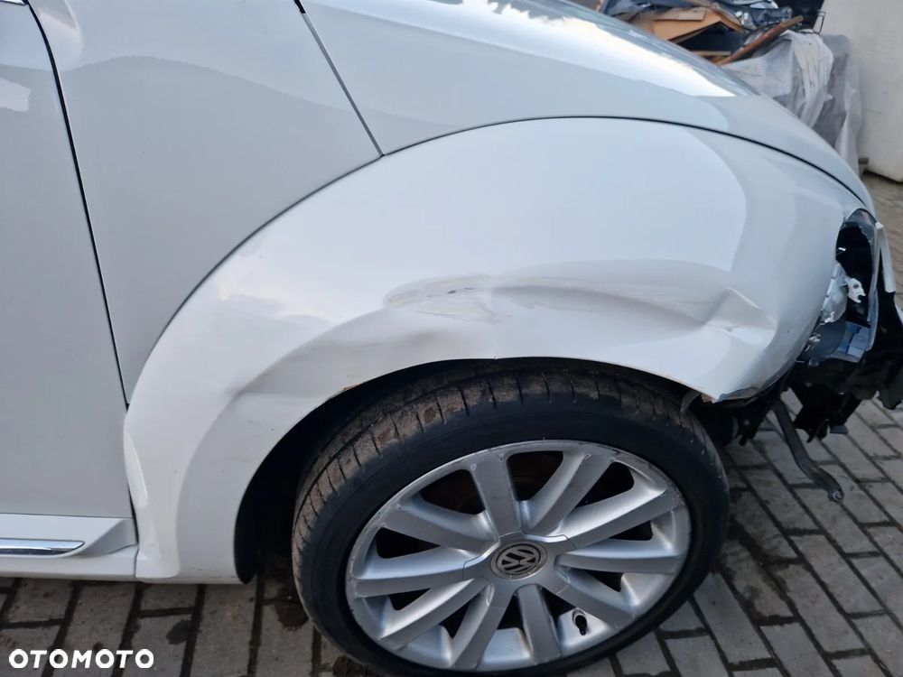 Volkswagen Beetle - 6