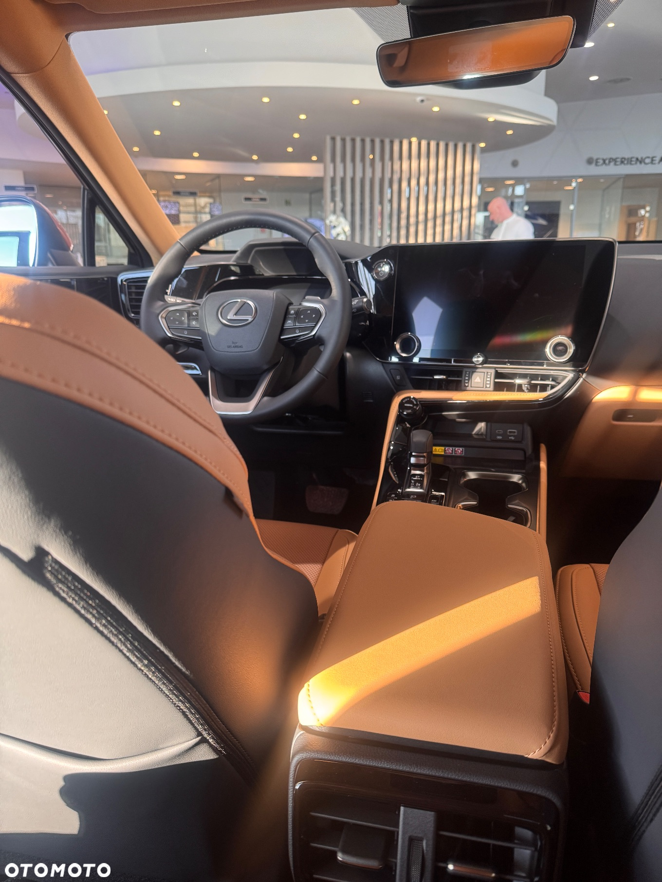 Lexus NX - 8