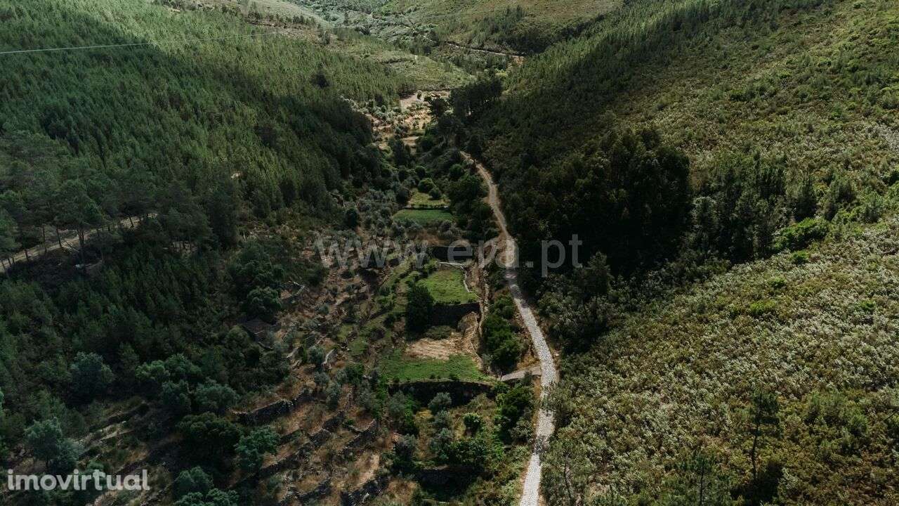 Terreno Rústico / Fundão, Bogas de Cima - Grande imagem: 3/14