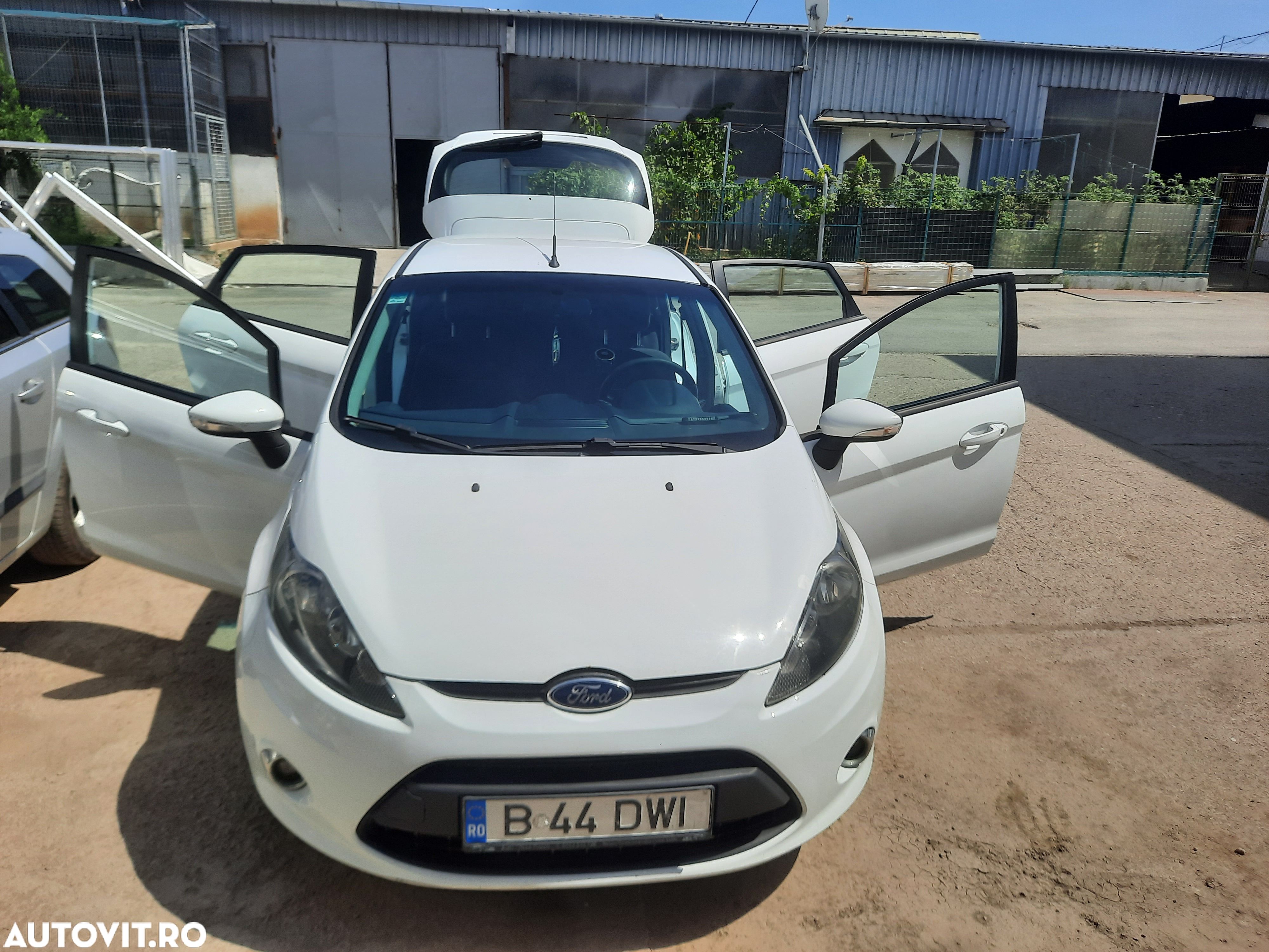 Ford Fiesta - 1