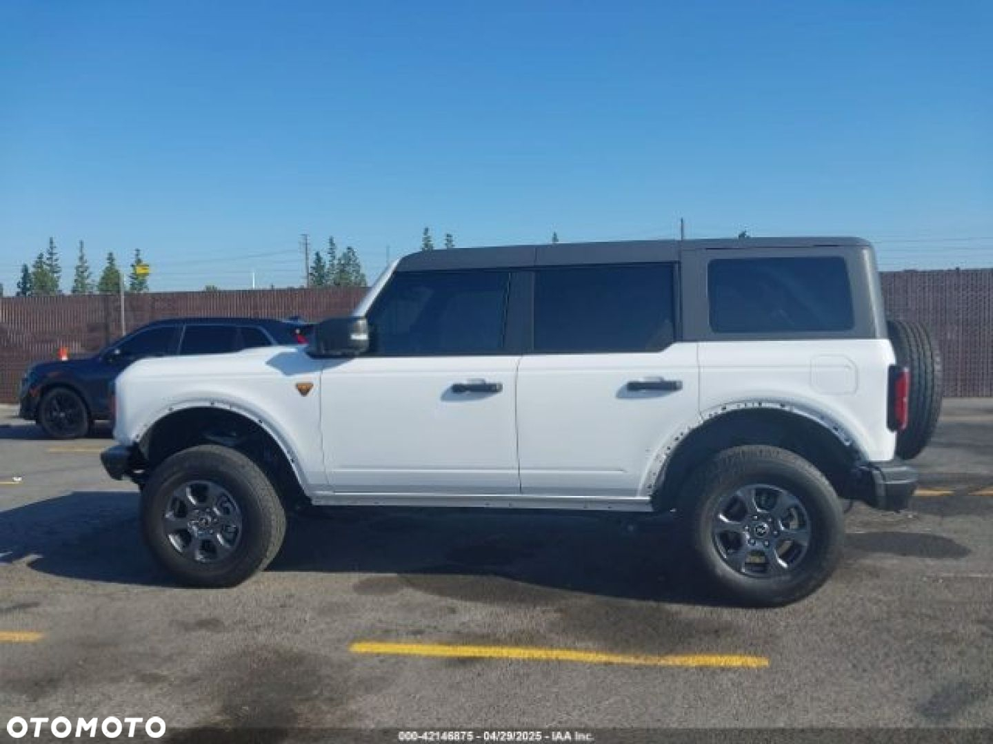 Ford Bronco - 6