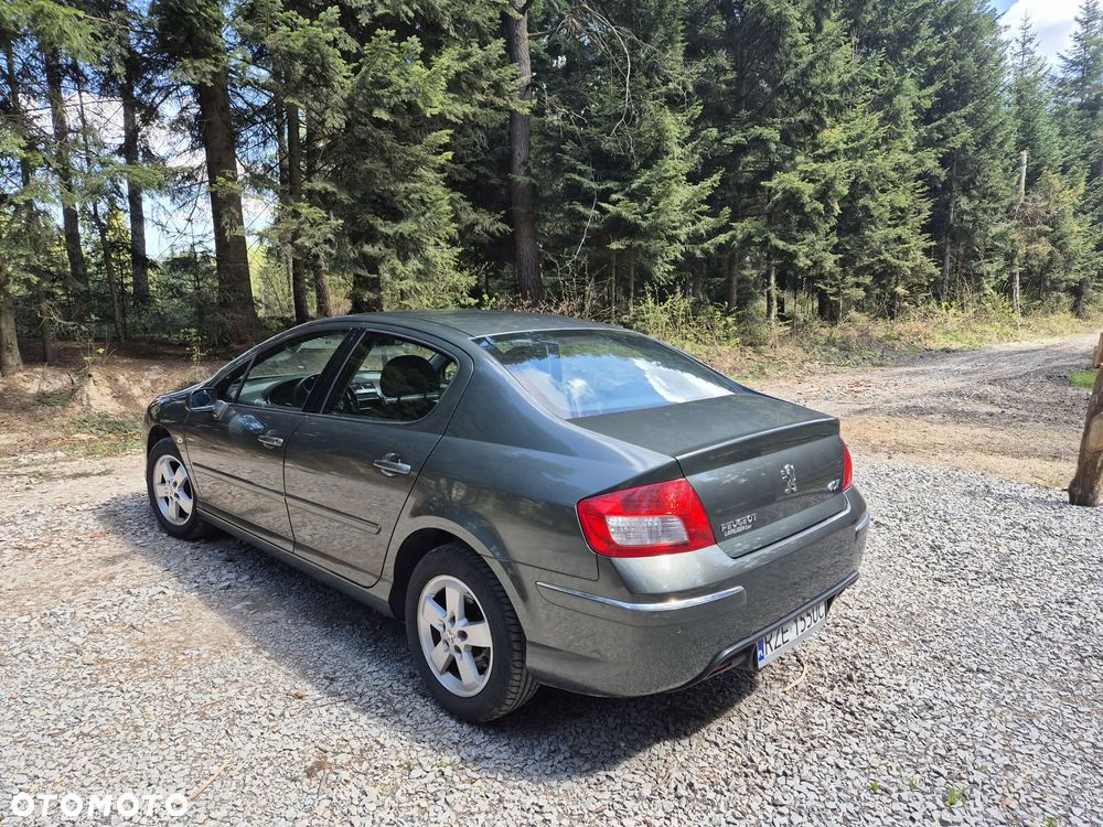 Peugeot 407 HDi 110 Esplanade - 11