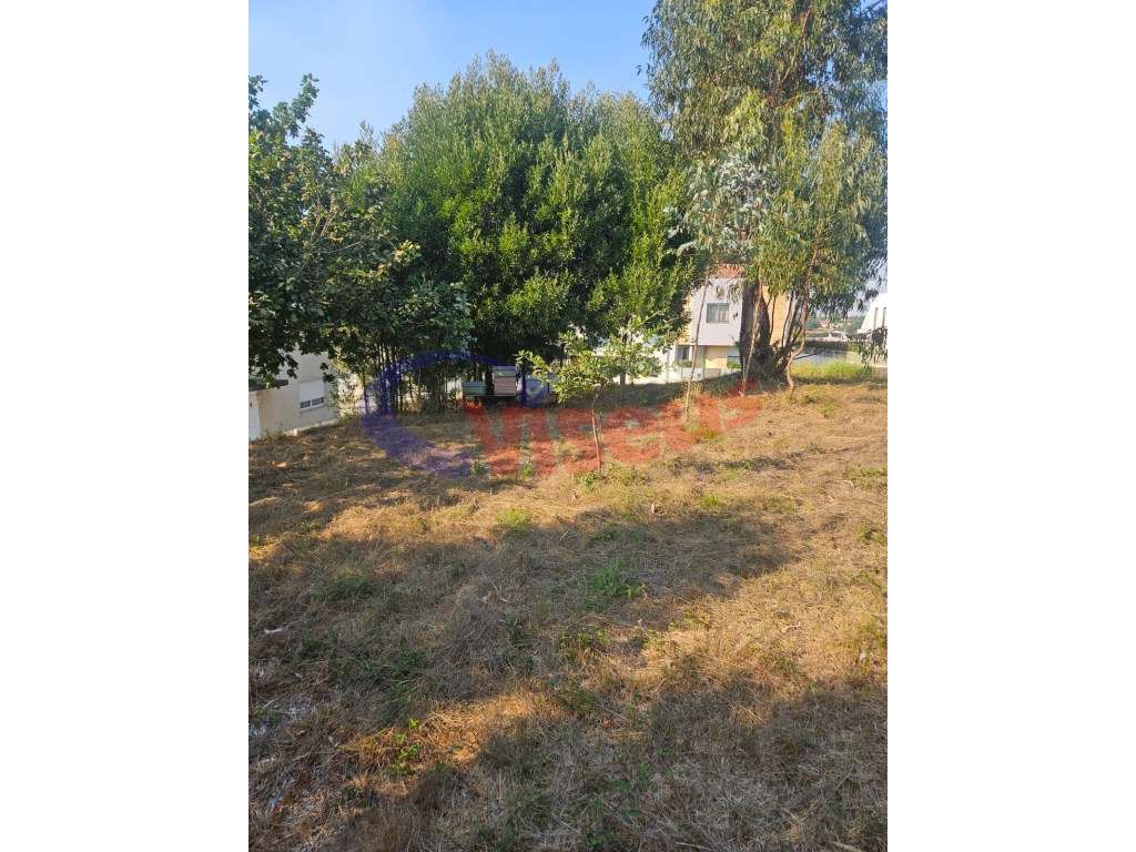 Terreno Moradia 3 Frentes Pedroso - Grande imagem: 3/9