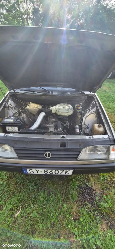 Polonez Caro - 13