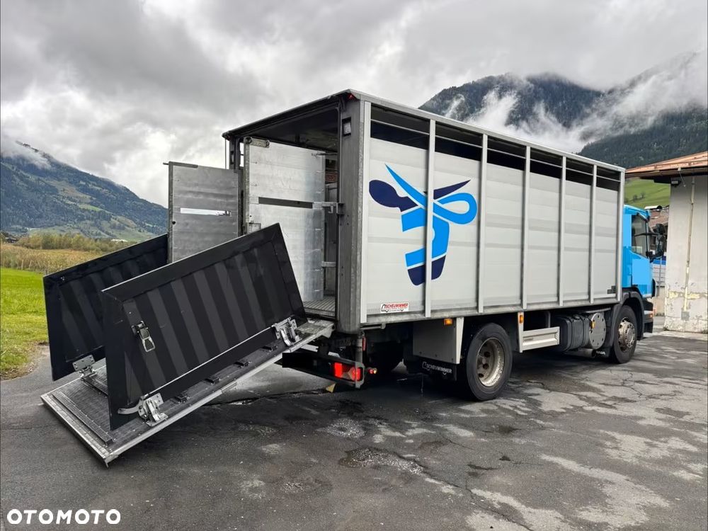 Scania P280 4x2 – Pojazd do przewozu zwierząt VIEHFAHRZEUG / jednopoziomowy  – 171.000 km!! – Euro 5 - 6