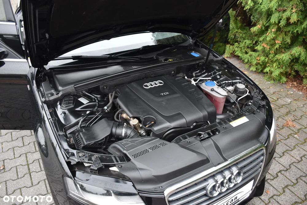 Audi A4 - 22