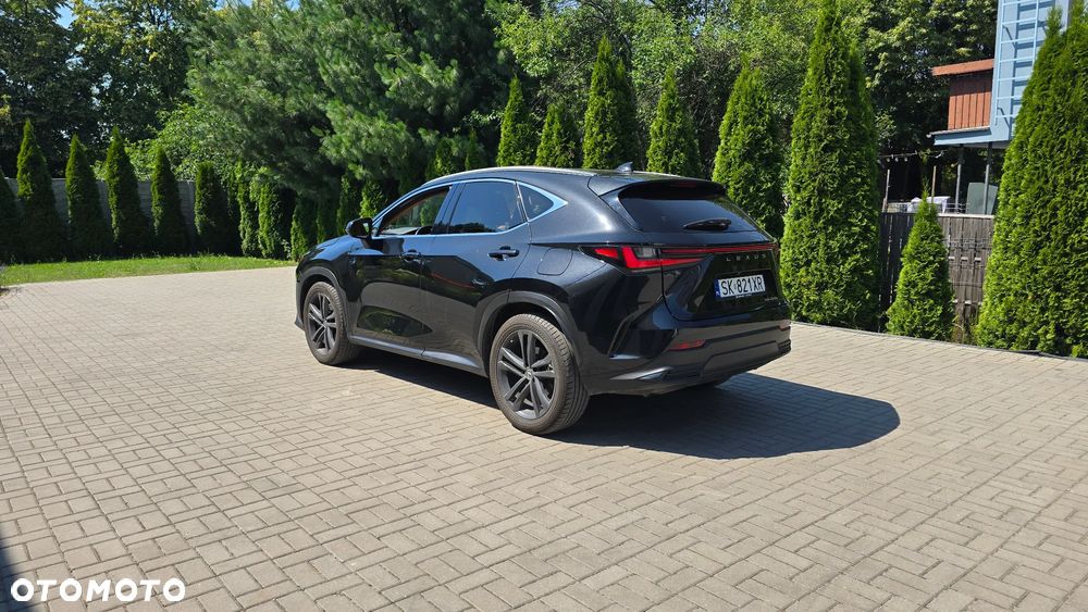 Lexus NX 450h+ Prestige AWD - 20