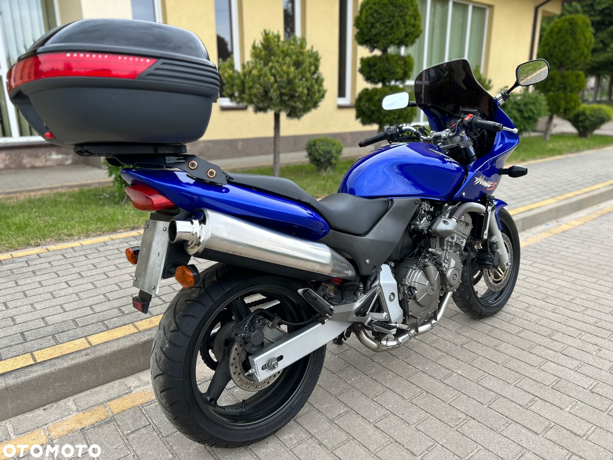Honda Hornet - 6