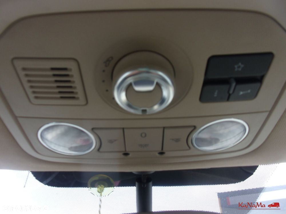 Volkswagen Beetle - 13