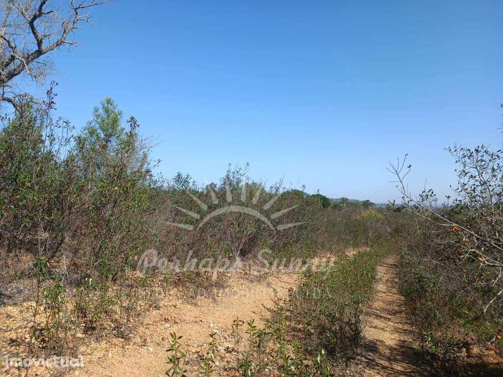 Terreno 14ha Santa Margarida da Serra - Grande imagem: 5/15