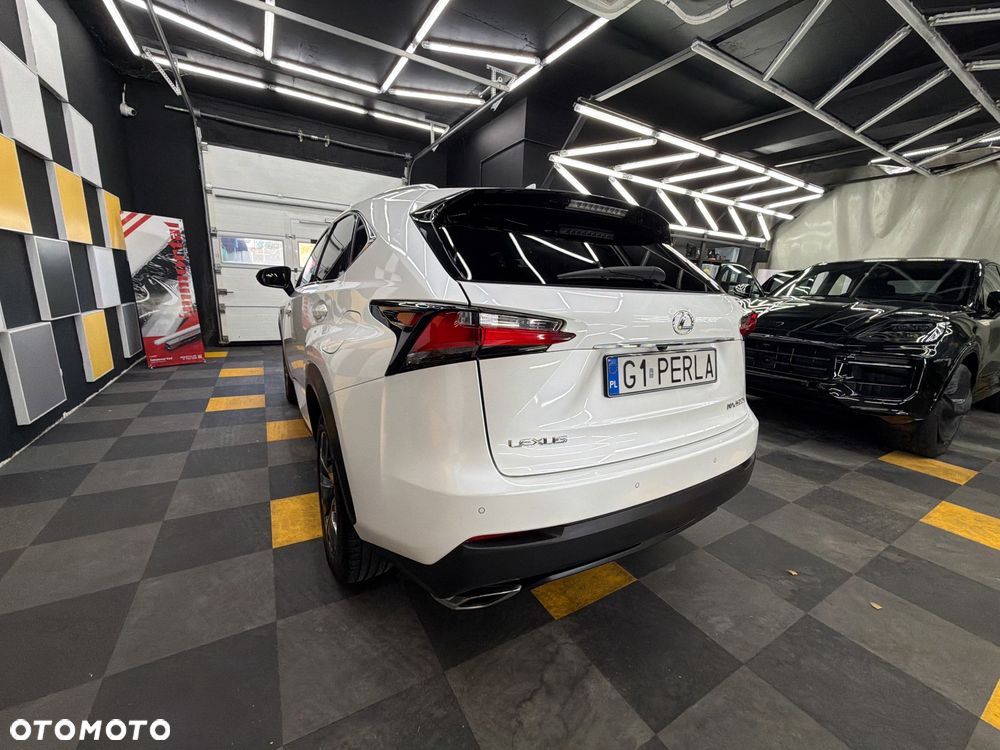 Lexus NX - 10
