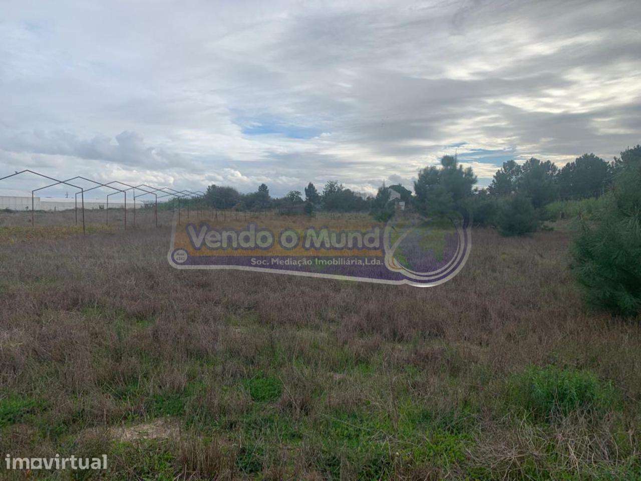 Terreno em Foros de Salvaterra (F758) - Grande imagem: 5/9