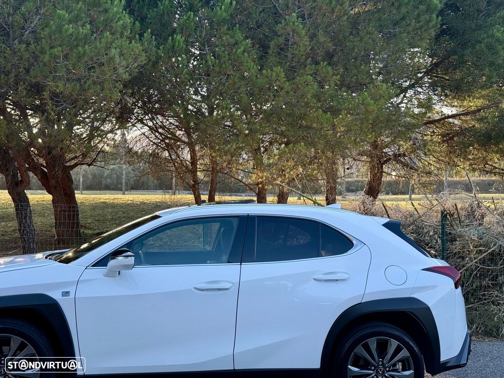 Lexus UX 250h F Sport - 20