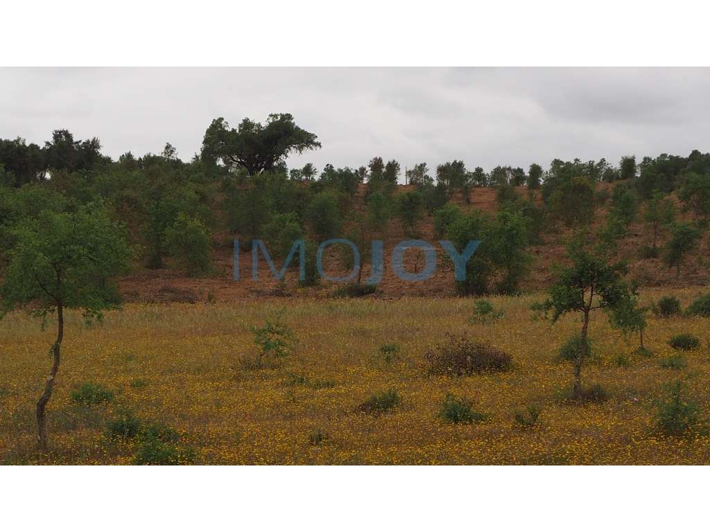Terreno com 3,1ha com viabilidade de construção Hotel Rural, no Cer... - Grande imagem: 2/8