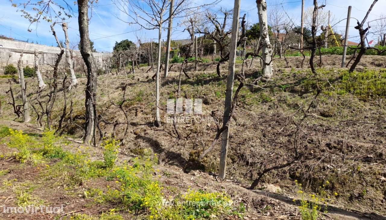 Venda Terreno, Fregim, Amarante - Grande imagem: 5/40
