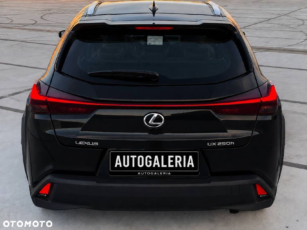 Lexus UX 200 GPF Elegance 2WD - 6
