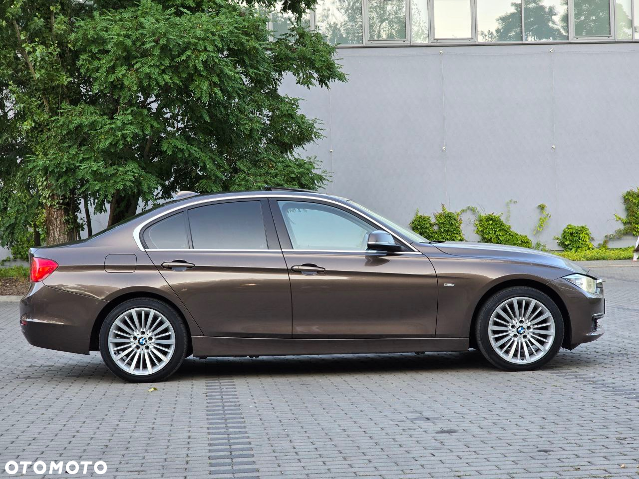BMW Seria 3 - 6