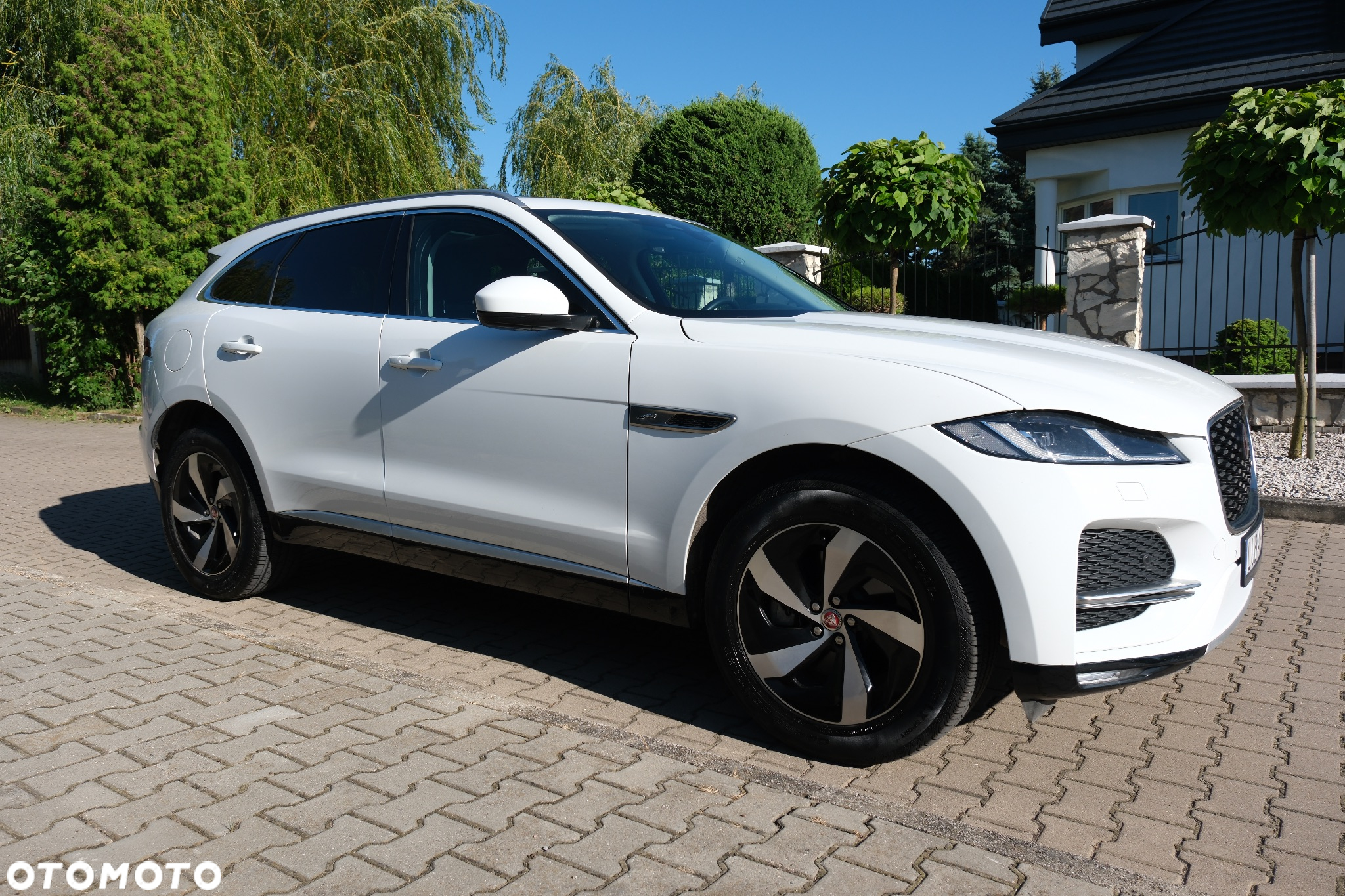 Jaguar F-Pace P250 AWD R-Dynamic SE - 14