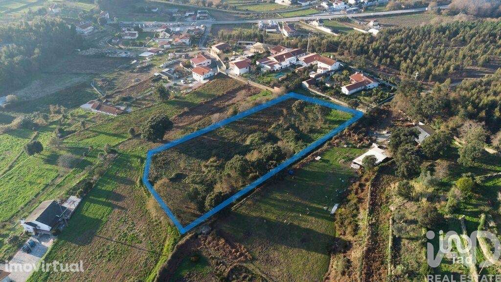 Terreno em Pinheiro da Bemposta, Travanca e Palmaz - Grande imagem: 2/14