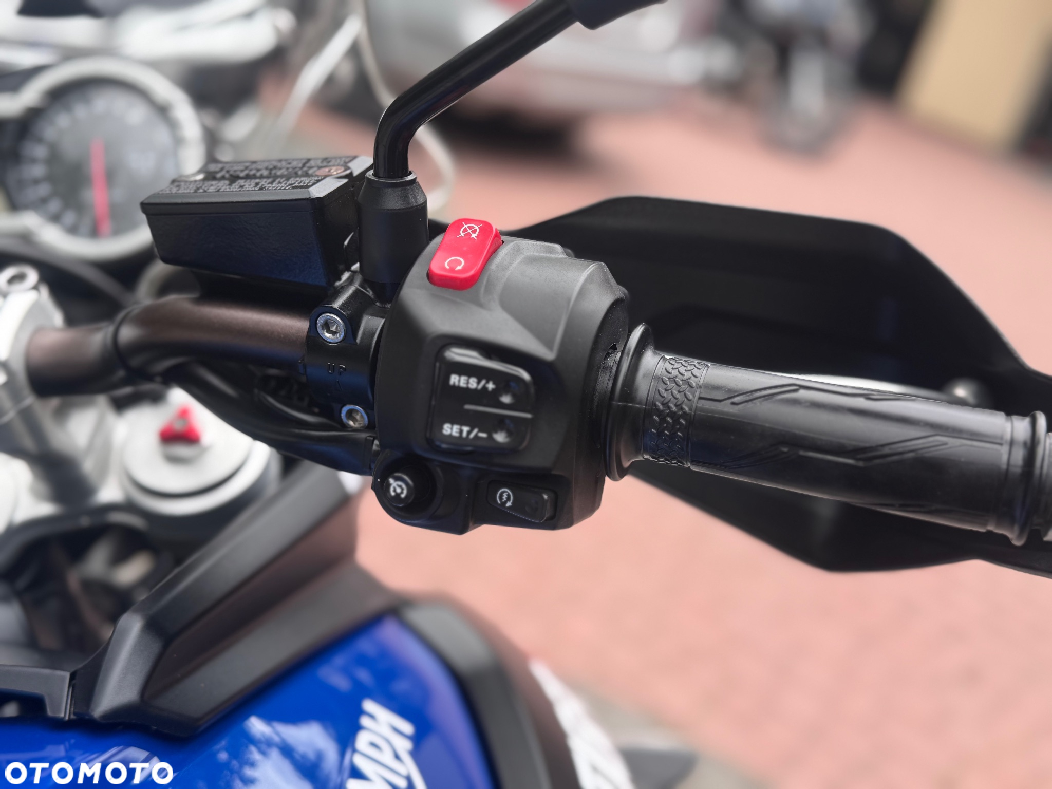 Triumph Tiger - 25