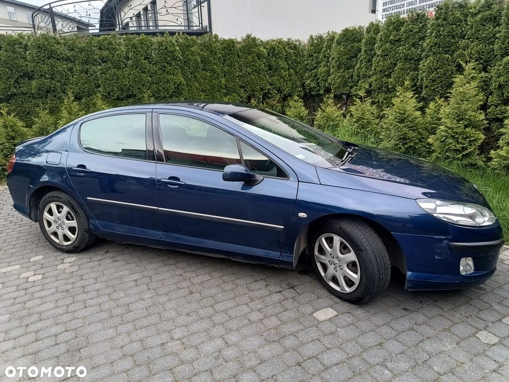 Peugeot 407 - 3