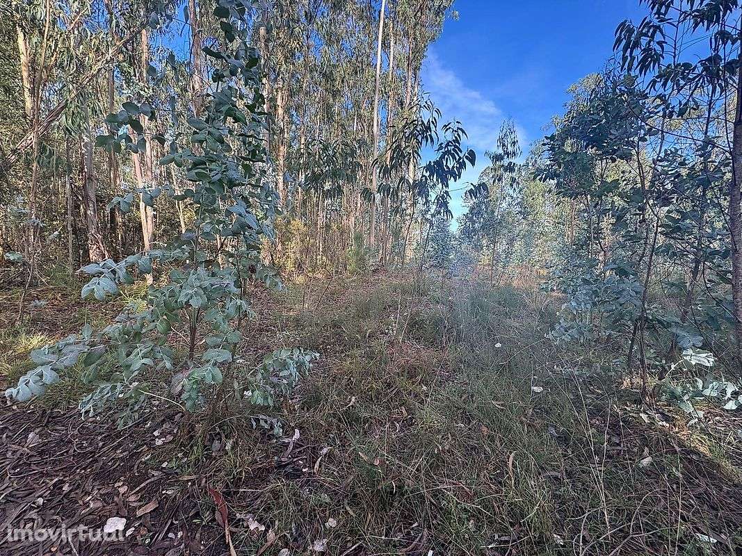 Terreno  para venda - Grande imagem: 3/4