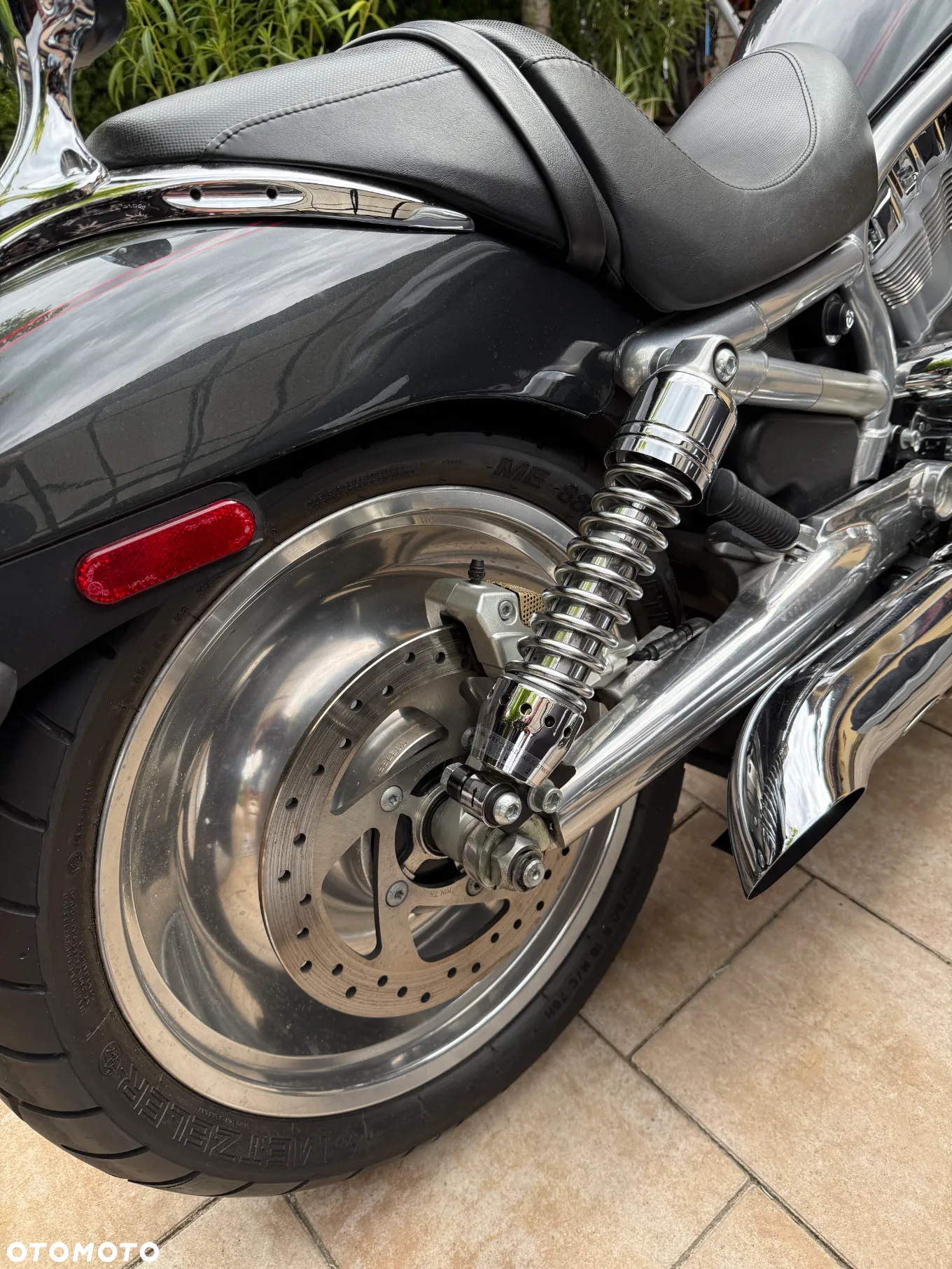 Harley-Davidson Softail V-Rod - 12
