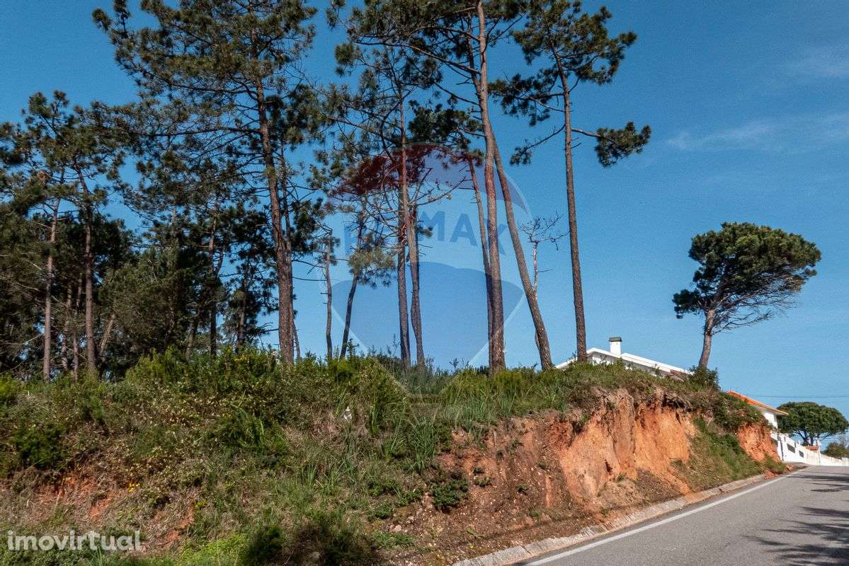 Terreno  para venda - Grande imagem: 4/13