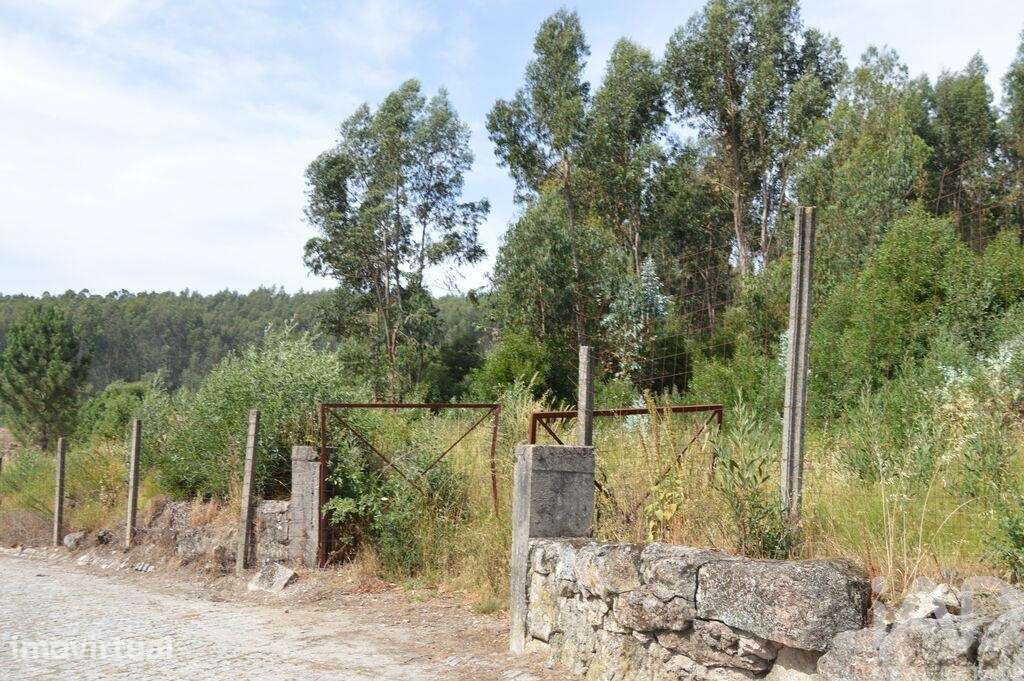 Terreno para construção em Termas de São Vicente de 83204,00 m2 - Grande imagem: 5/17