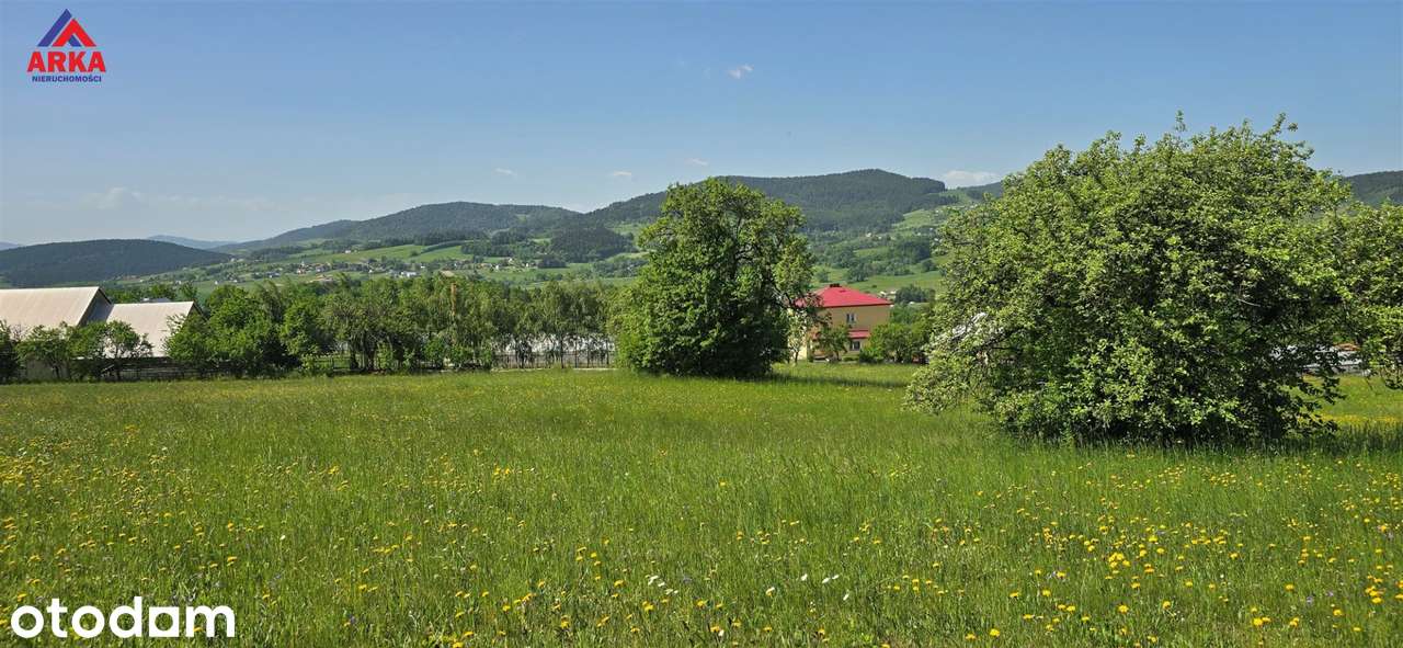 Widokowa działka z WZ – południowy stok, panorama - Pełny obrazek: 2/10
