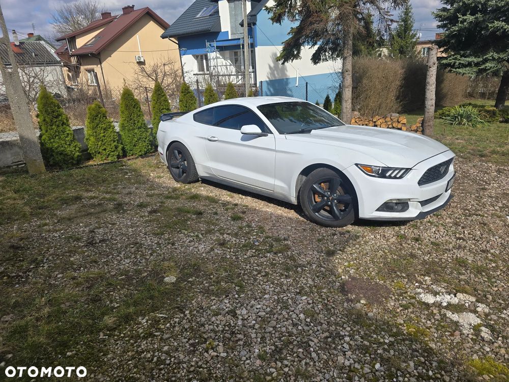 Ford Mustang 3.7 V6 - 6