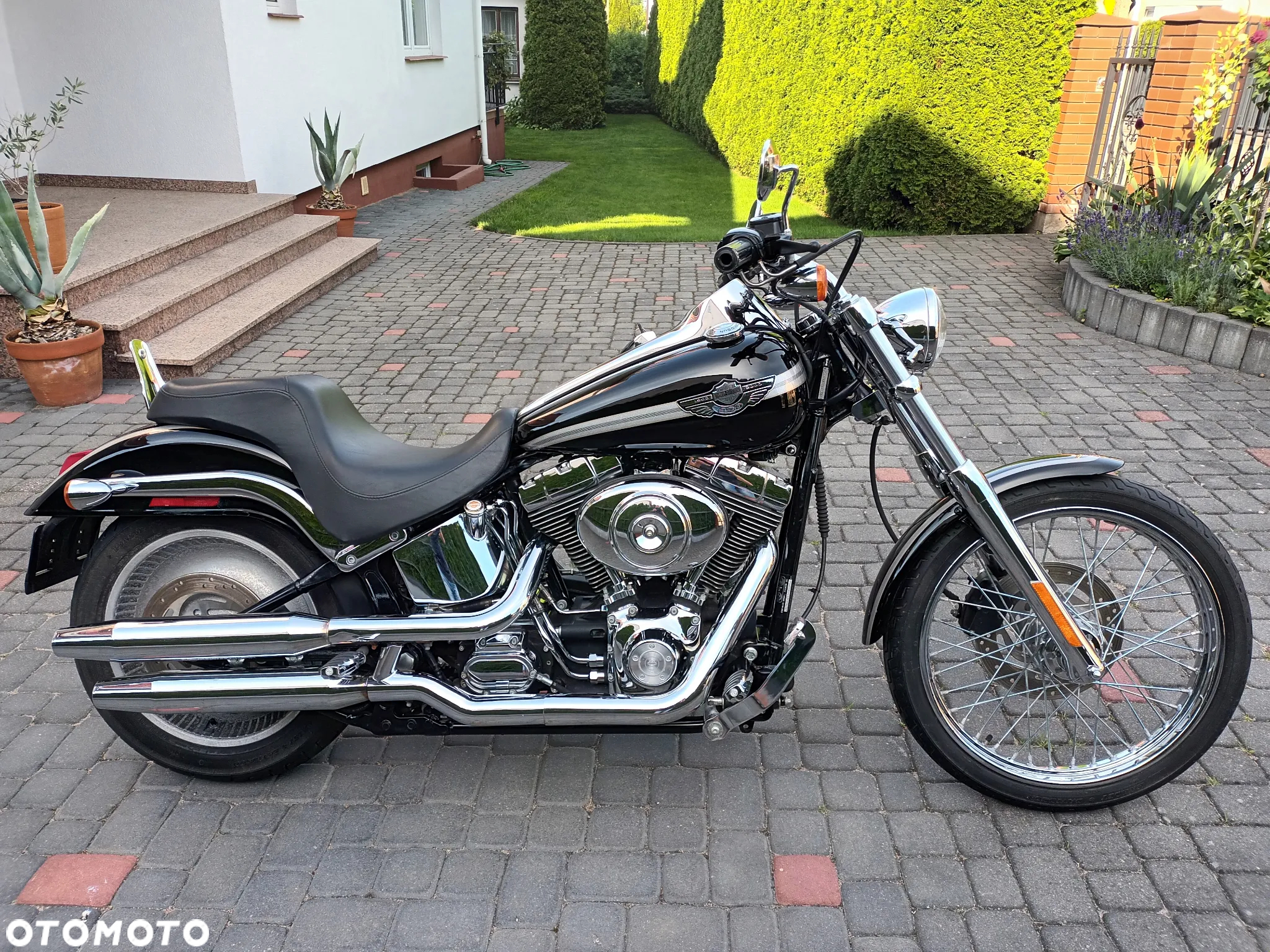Harley-Davidson Softail - 14