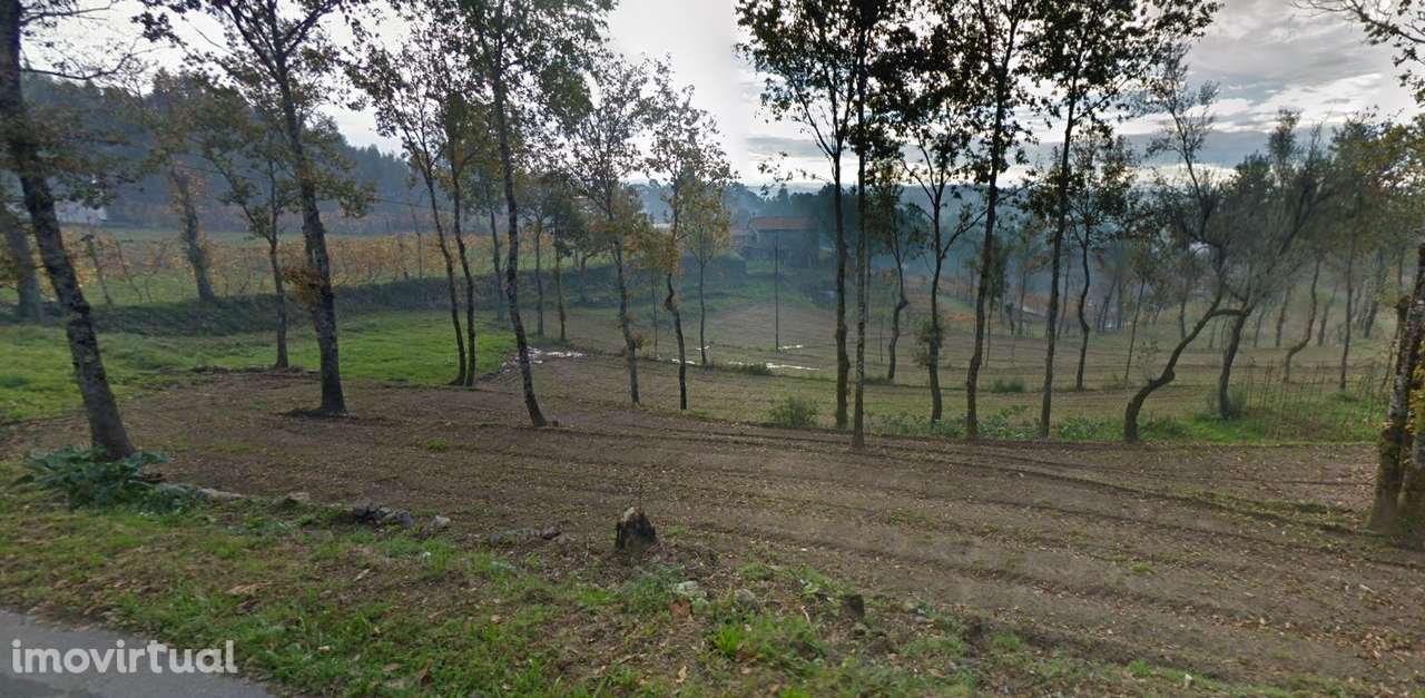 Terreno 14300 m2 à venda na Rua dos Oleiros, Arões S. Romão - Grande imagem: 5/9