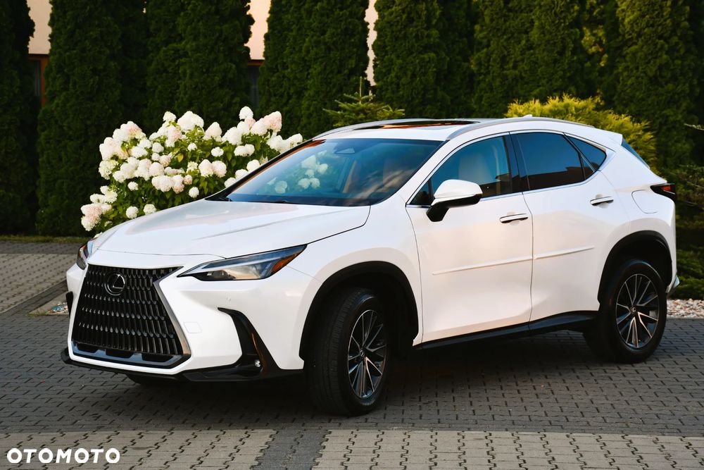 Lexus NX - 4