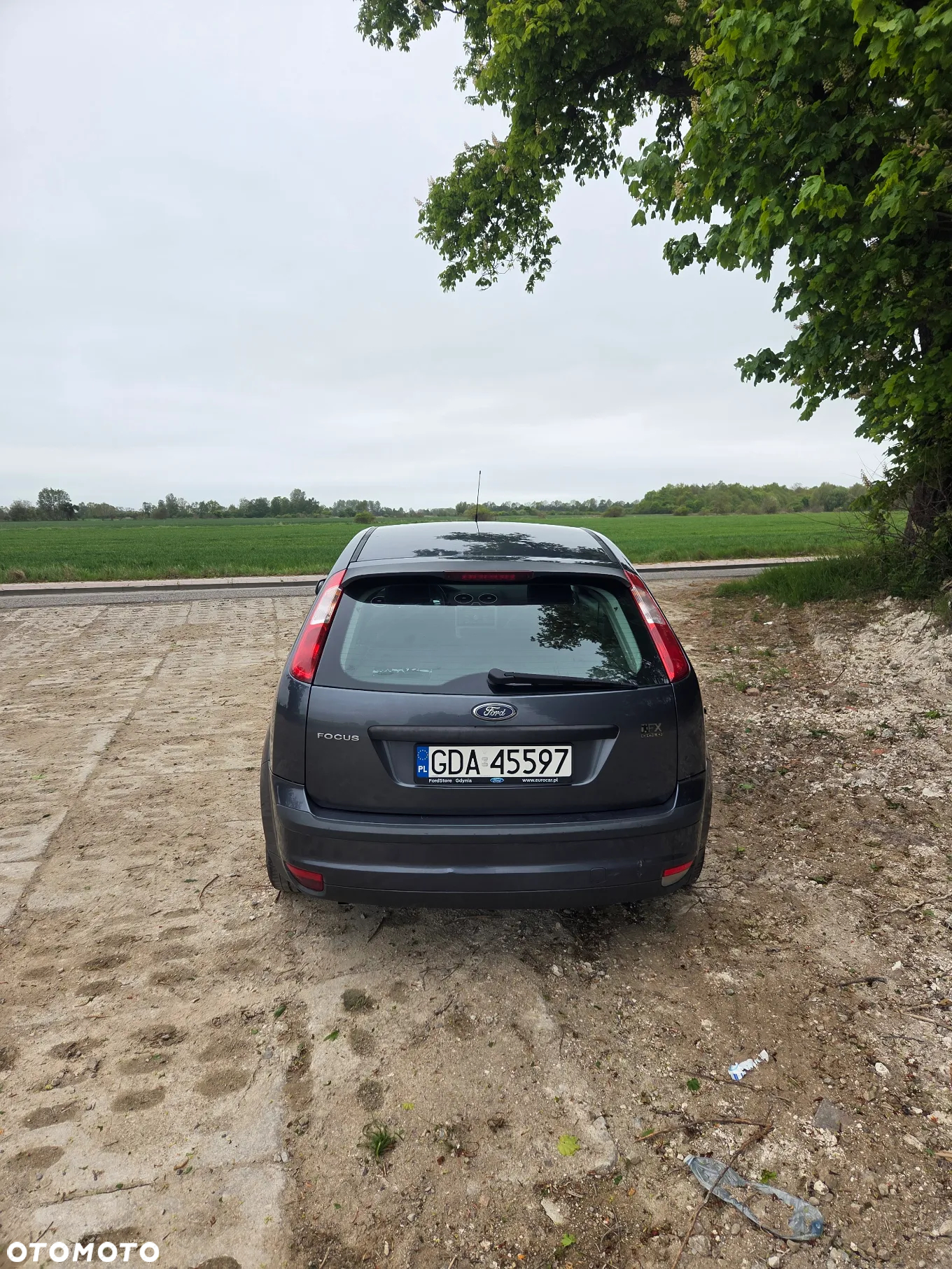 Ford Focus 1.6 Ti-VCT FX Gold / Gold X - 3