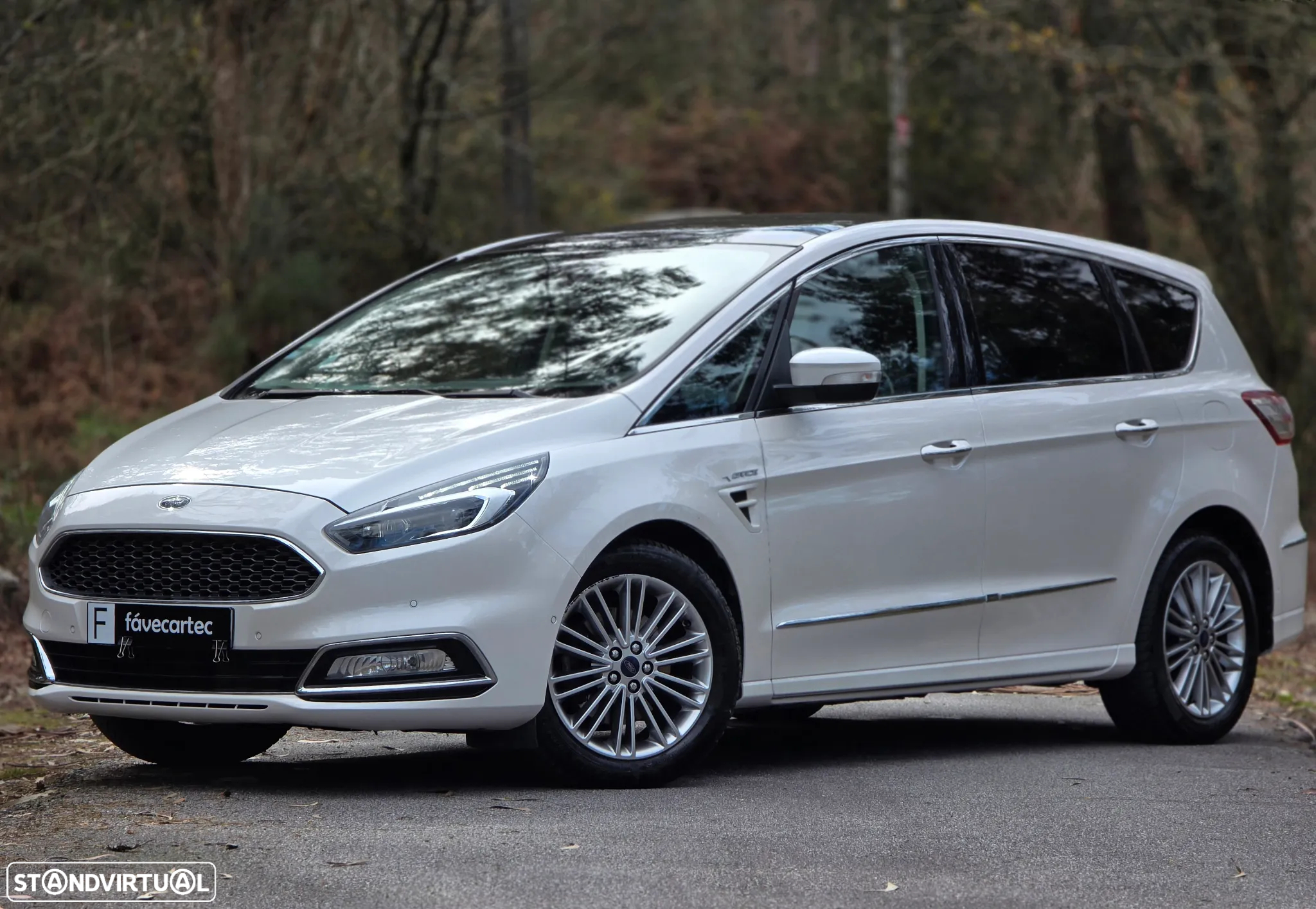 Ford S-Max 2.0 TDCi Vignale Powershift - 3