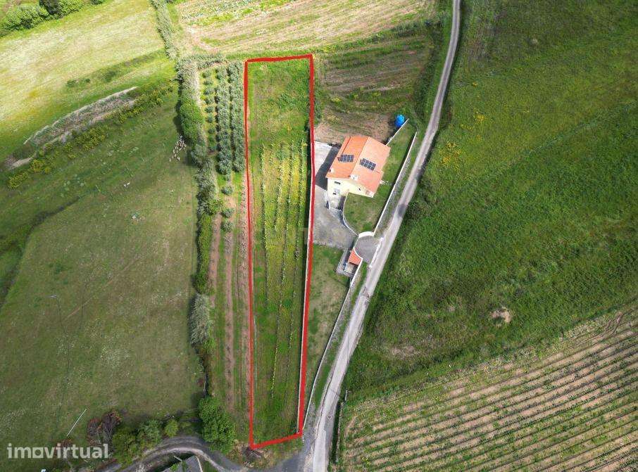 Terreno para Construção - Bárrio, Alcobaça - Grande imagem: 3/7