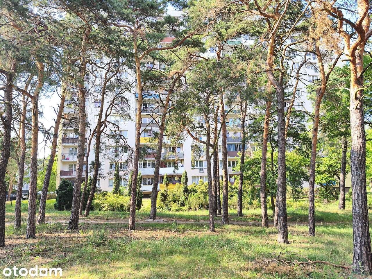 3 pokoje. 56 m2. Z pięknym widokiem.