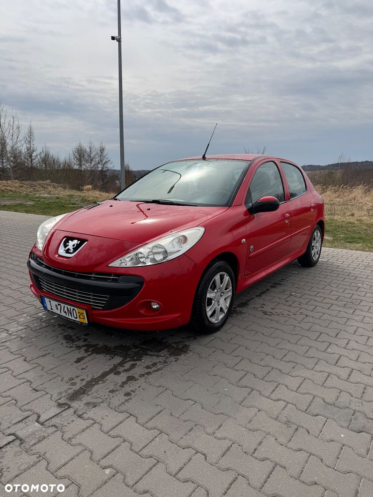 Peugeot 206 plus - 1