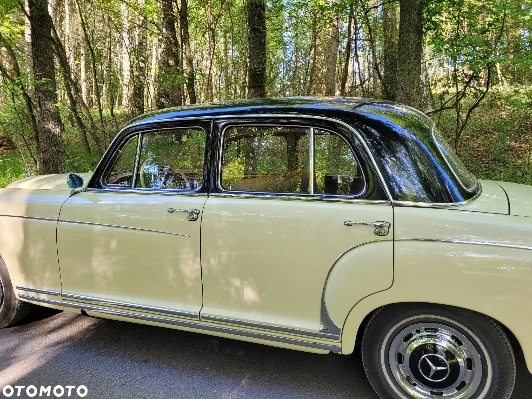 Mercedes-Benz Inny - 6