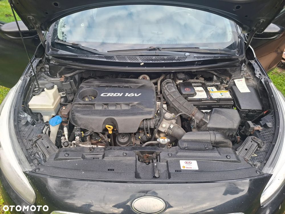Kia Ceed 2013 photo 5
