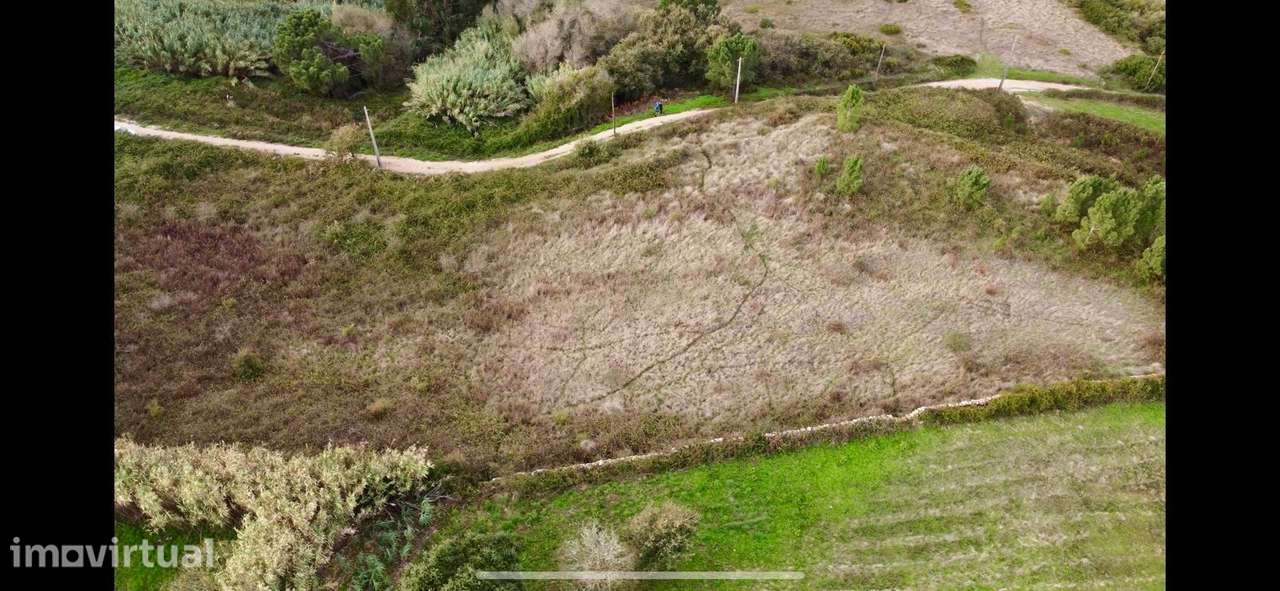 Terreno rústico com 9.069 m² – Vista de Oceano – Baleia / Carvoeira (M - Grande imagem: 3/5