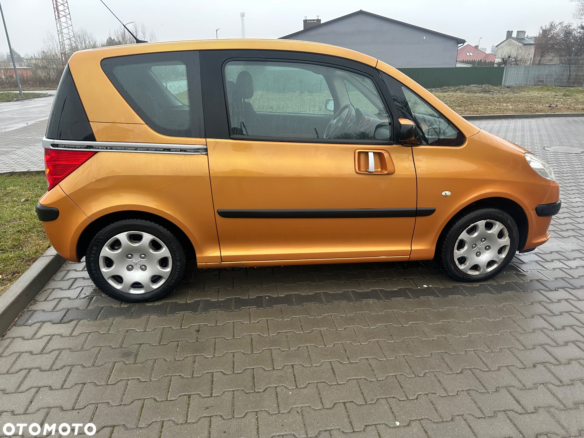 Peugeot 1007 - 13