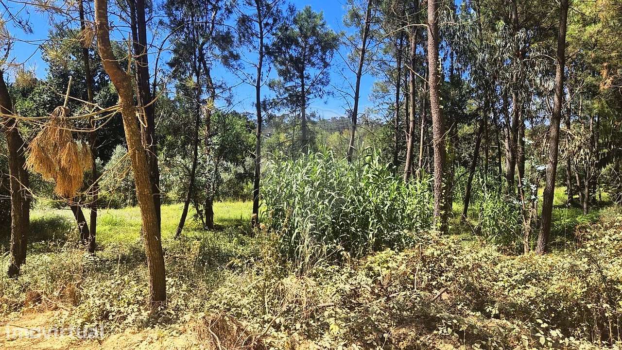 Terreno  para venda - Grande imagem: 4/20